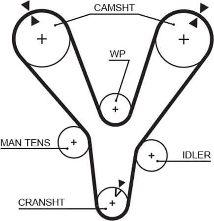 Timing Belt RoadMax™ Value Line 1555RM
