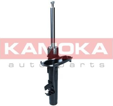 Shock absorber front 2000319