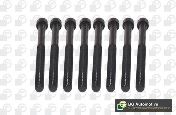Cylinder Head Bolt Set BK5916