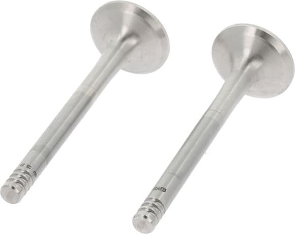 Exhaust Valve 550840B - image 2