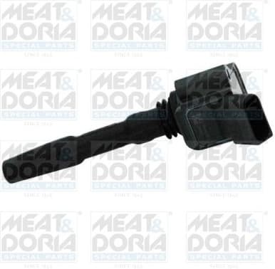 Ignition Coil 10602