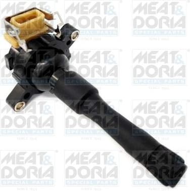 Ignition Coil 10355