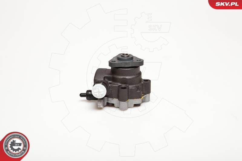 Hydraulic Pump, steering 10SKV095