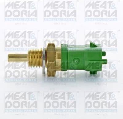 Sensor, fuel temperature 82419