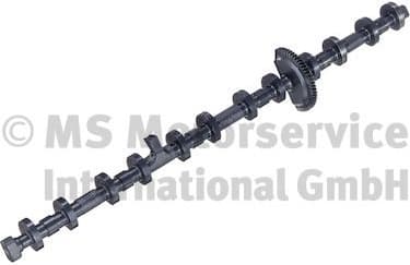 Camshaft 50007851