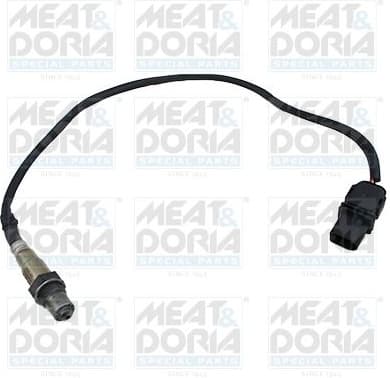 Oxygen Sensor 81667E