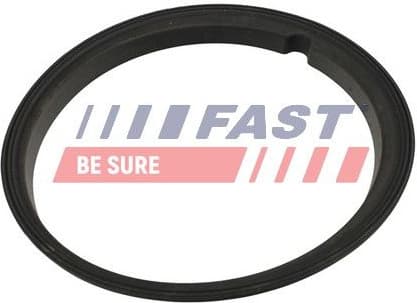 Gasket, fuel pump FT48502