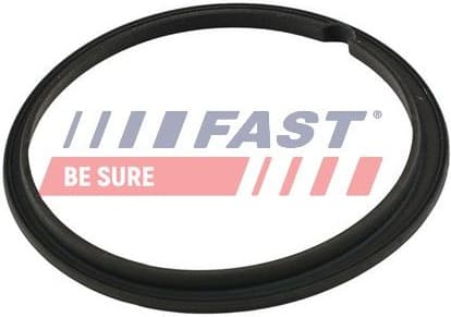 Gasket, fuel pump FT48502 - image 2