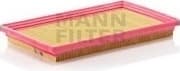 Air Filter C2742