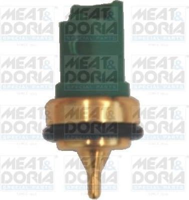 Sensor, coolant temperature 82234