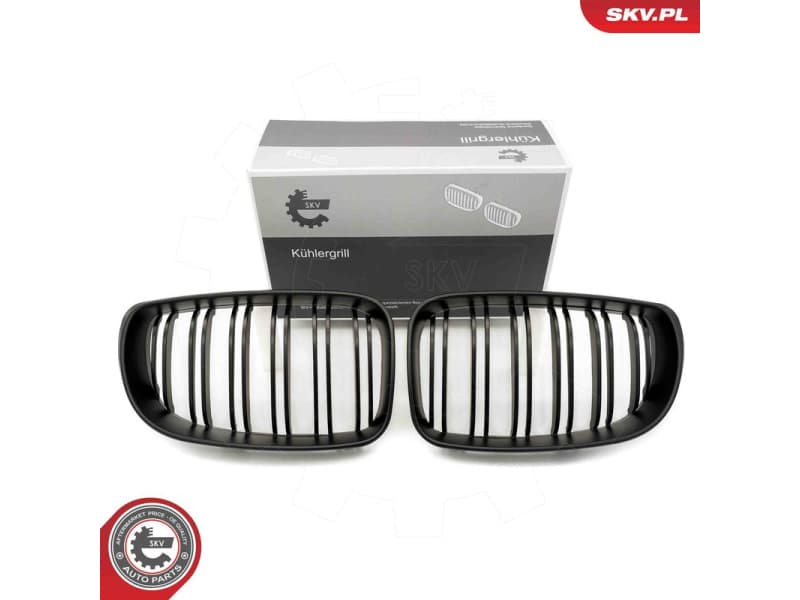 Radiator Grille 66SKV011