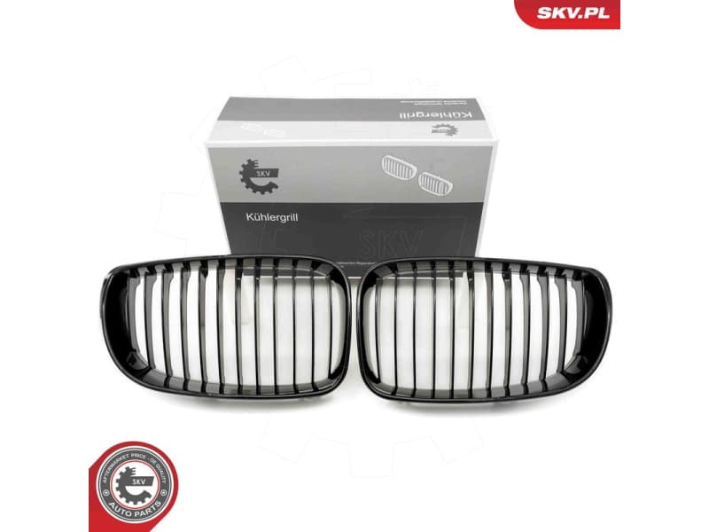 Radiator Grille 66SKV006