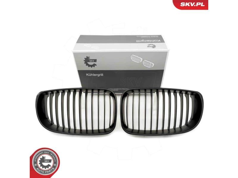 Radiator Grille 66SKV008
