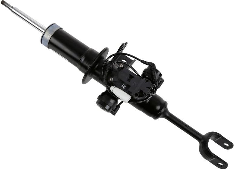 Shock Absorber CDC 319 046