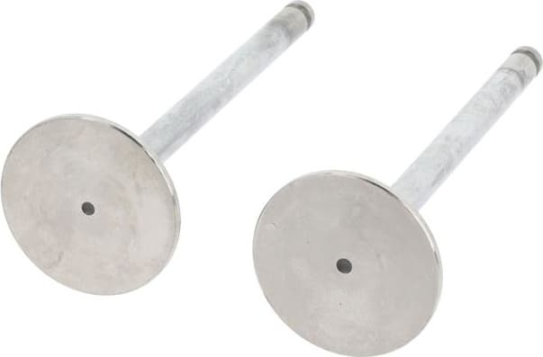 Intake Valve 550252B - image 3