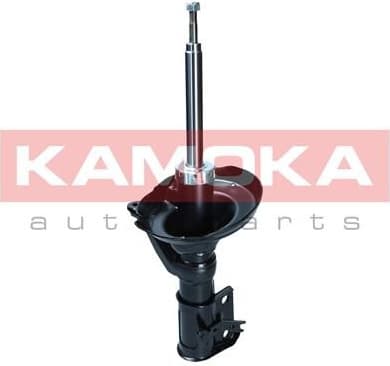 Shock Absorber 2001076