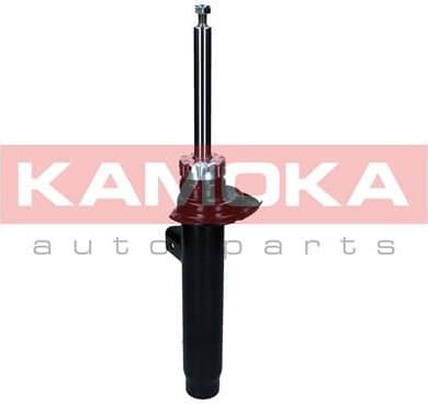 Shock Absorber 2000352