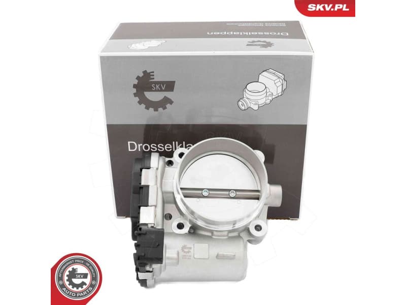 Throttle Body 12SKV129