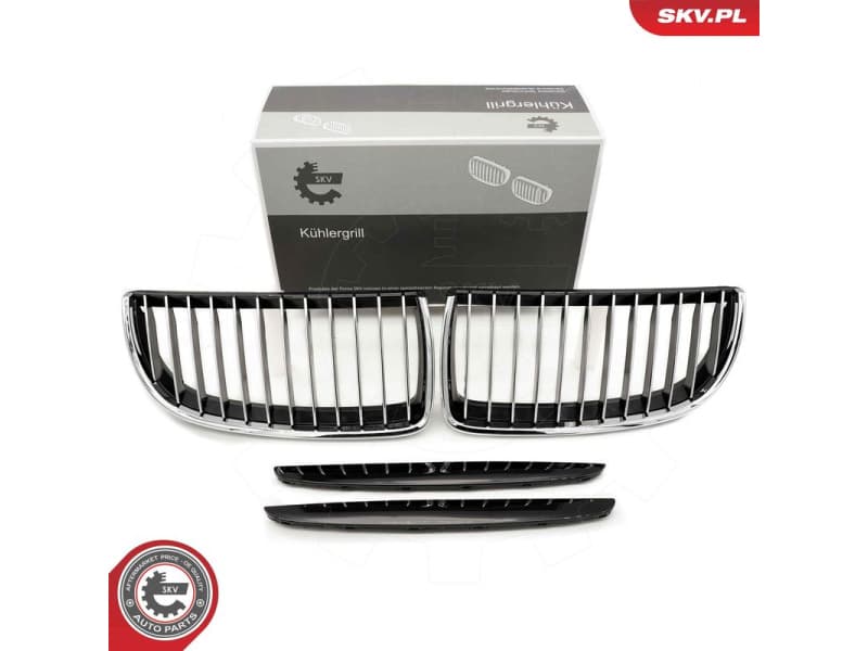 Radiator Grille 66SKV088