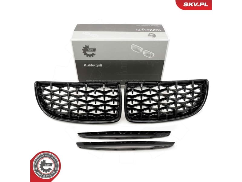 Radiator Grille 66SKV093