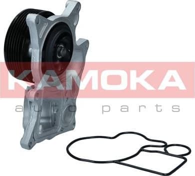 Water Pump, engine cooling T0300