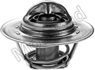 Thermostat, coolant 276-89K