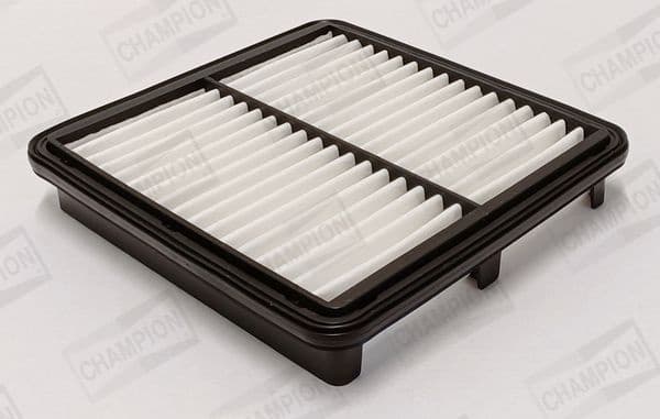 Air Filter CAF101217P