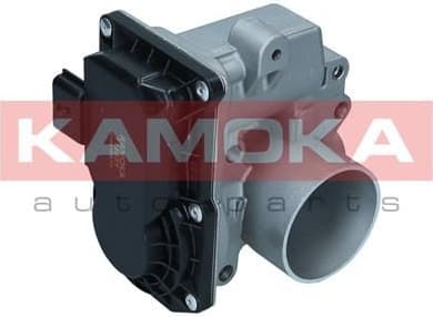 Throttle Body 112051