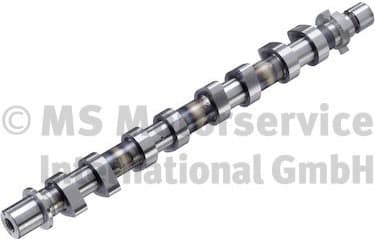 Camshaft 50056018