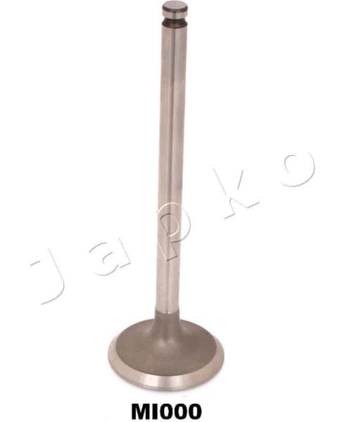 Intake Valve 5MI000