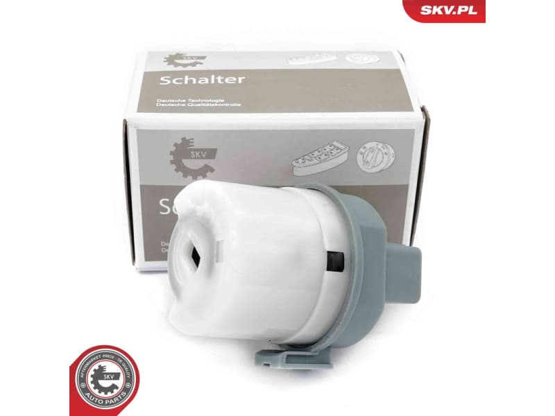 Ignition Switch 65SKV034