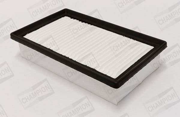 Air Filter CAF101214P