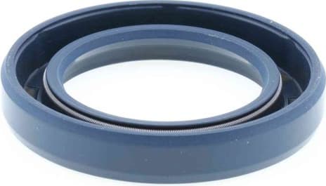 Seal Ring 12010896B