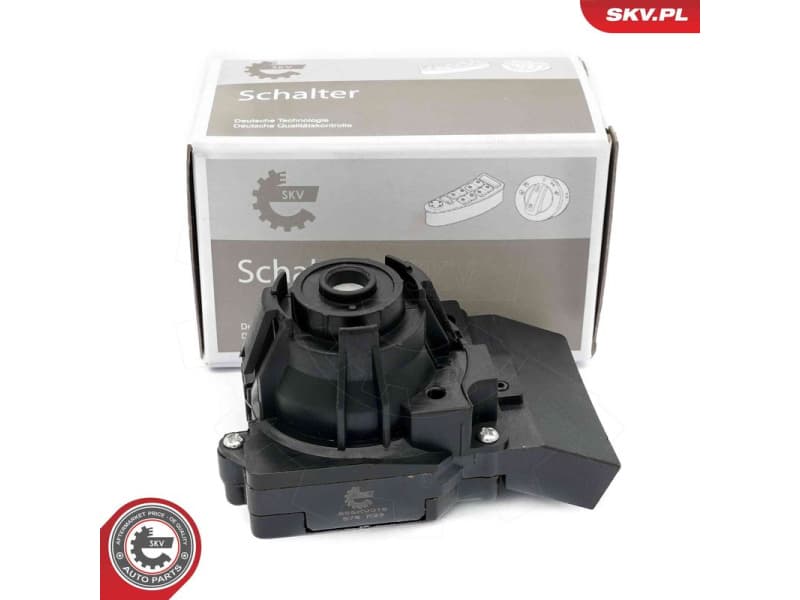 Ignition Switch 65SKV019