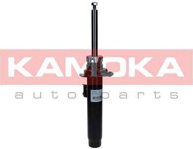 Shock absorber front 2000342