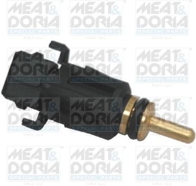 Sensor, coolant temperature 82189