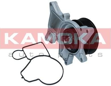 Water Pump, engine cooling T0298 - image 2