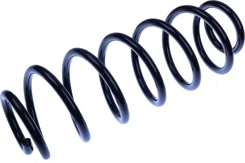 Suspension Spring D700410