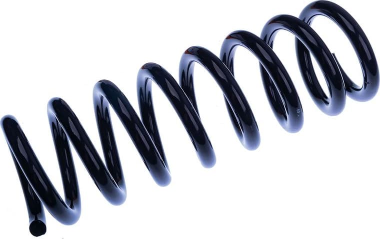 Suspension Spring D700412