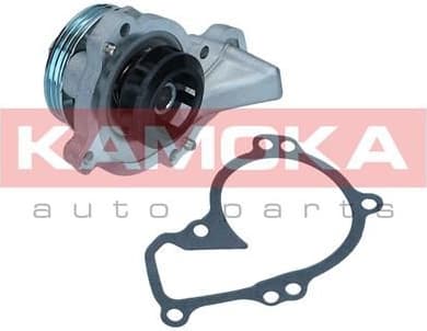 Water Pump, engine cooling T0296