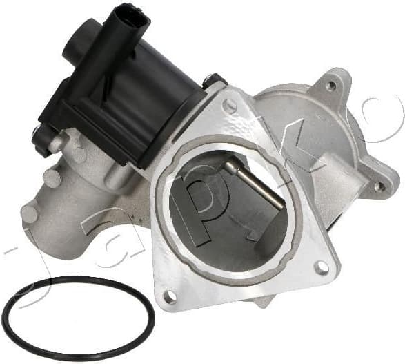 EGR Valve 1500930