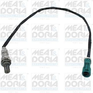 Oxygen Sensor 81029E