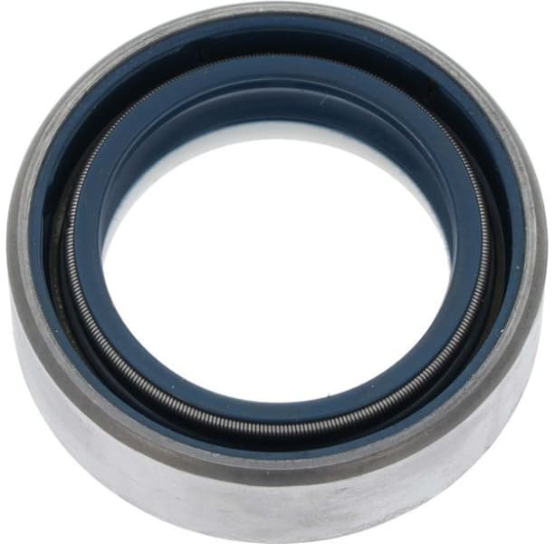 Shaft Seal, differential 12013519B - image 4
