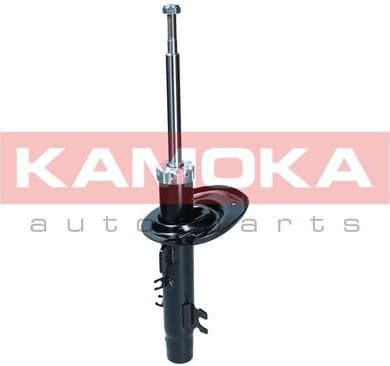 Shock Absorber 2000170