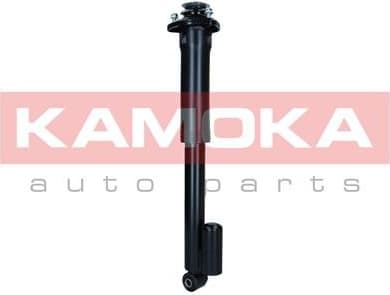 Air Suspension Strut 2070023