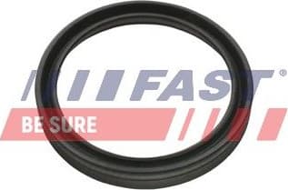 Seal Ring, charge air hose FT48956