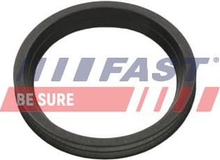Seal Ring, charge air hose FT48956 - image 2