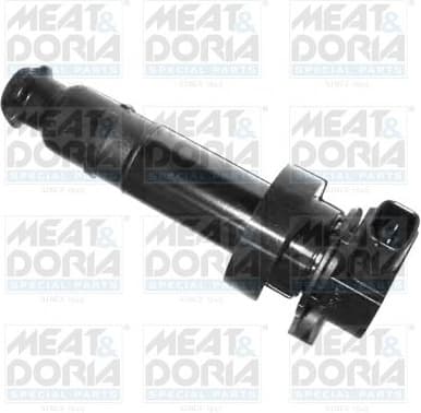 Ignition Coil 10591