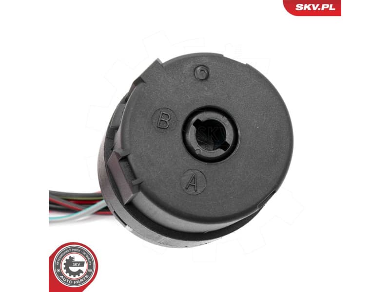 Ignition Switch 65SKV026