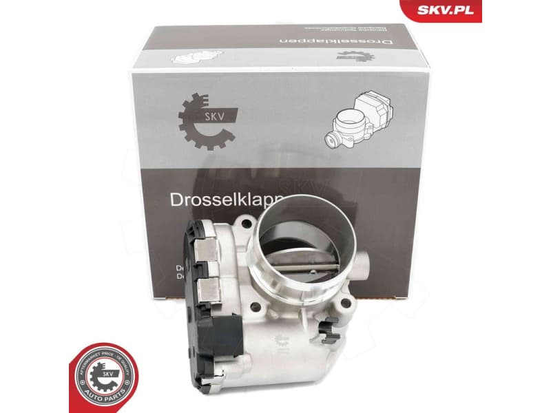Throttle Body 12SKV136